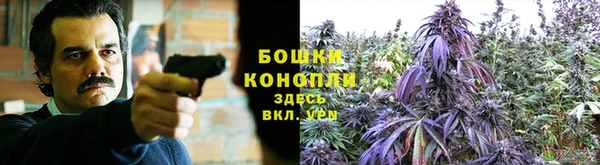 эйфоретик Магадан